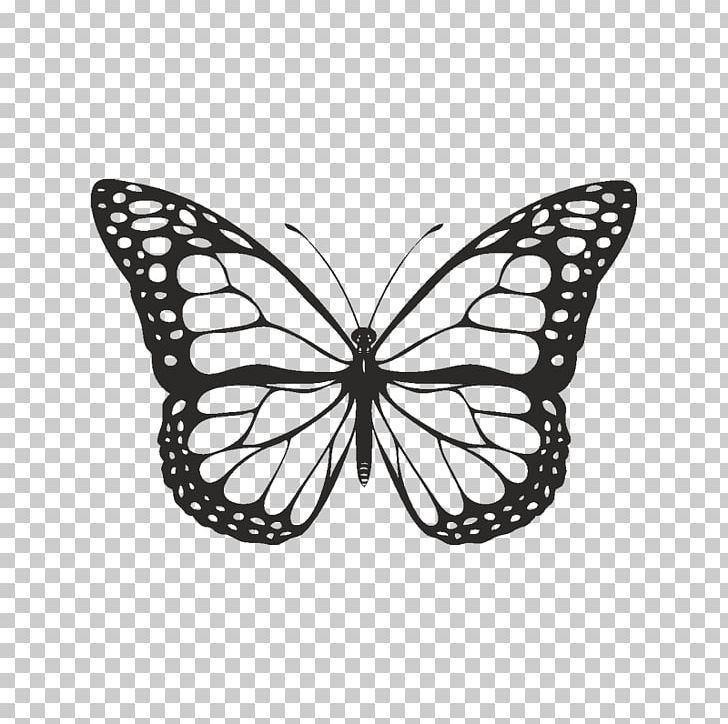 Butterfly Black And White PNG, Clipart, Art, Arthropod, Black, Black And White, Brush Footed Butterfly Free PNG Download
