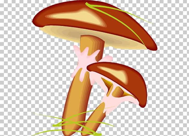 Suillus Luteus Mushroom Suillus Bovinus PNG, Clipart, Animaatio, Boletus, Cartoon, Drawing, Fungus Free PNG Download