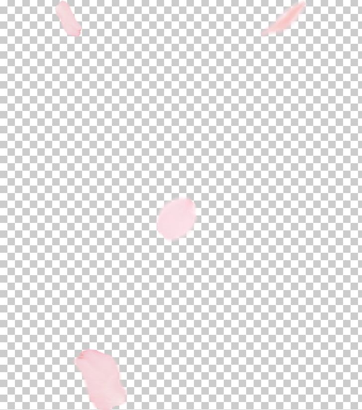 Petal Cherry Blossom Cherry Pie PNG, Clipart, Beauty, Blossom, Cherry, Cherry Blossom, Cherry Pie Free PNG Download