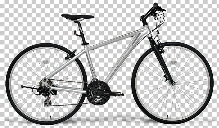 Bicycle Shop Bianchi Cycling Mountain Bike PNG, Clipart, Bicycle, Bicycle Accessory, Bicycle Frame, Bicycle Frames, Bicycle Part Free PNG Download