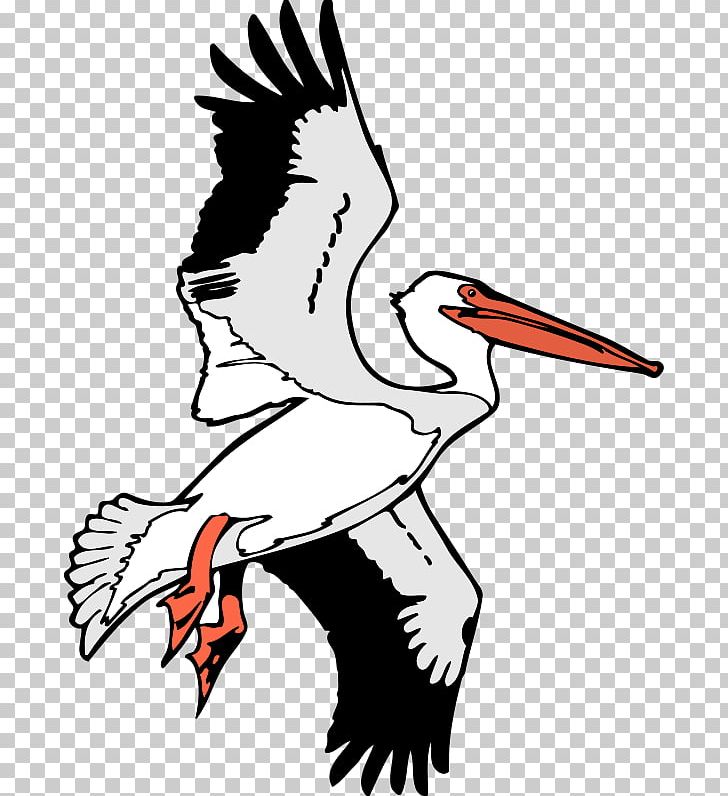 Flight Brown Pelican PNG, Clipart, Arm, Art, Artwork, Beak, Bird Free PNG Download