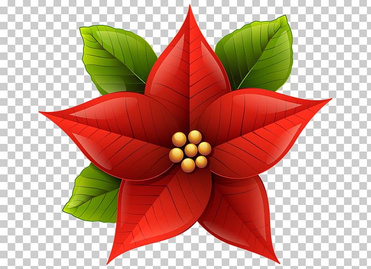 Poinsettia Christmas PNG, Clipart, Art, Christmas, Document, Drawing, Flower Free PNG Download