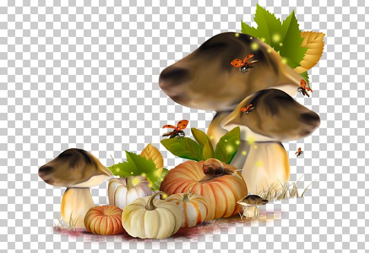Autumn Portable Network Graphics Fall Pumpkins: Orange And Plump Desktop PNG, Clipart, Autumn, Desktop Wallpaper, Dog Breed, Flower, Food Free PNG Download
