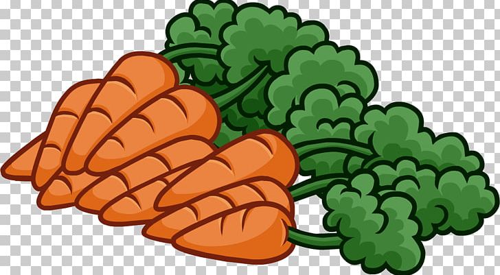 Baby Carrot PNG, Clipart, Arracacia Xanthorrhiza, Baby Carrot, Blog, Carrot, Carrots Free PNG Download