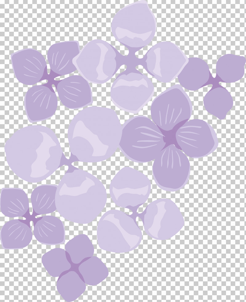 Lavender PNG, Clipart, Circle, Flower, Lavender, Lilac, Petal Free PNG Download