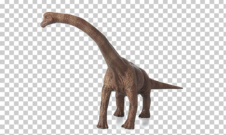 Brachiosaurus Dinosaur Triceratops Jurassic PNG, Clipart, Animal Figure, Animals, Brachiosaurus, Dimension, Dinosaur Free PNG Download