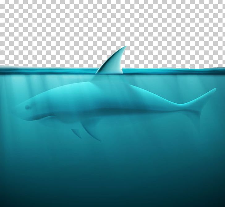 Great White Shark Spinner Dolphin Squaliformes Tiger Shark PNG, Clipart, Animals, Biology, Blue, Electric Blue, Happy Birthday Vector Images Free PNG Download
