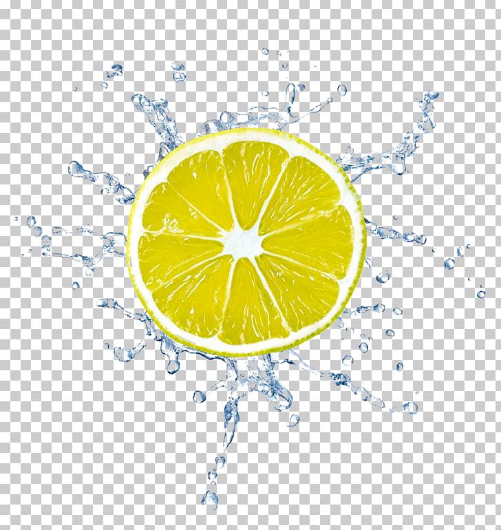 Lemonade Lime Photography PNG, Clipart, Circle, Citric Acid, Citrus, Color Splash, Computer Wallpaper Free PNG Download