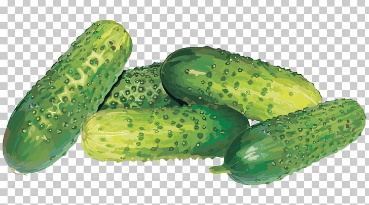 Pickled Cucumber Spreewald Gherkins Sprite Vegetable PNG, Clipart, Cucumber, Cucumber Gourd And Melon Family, Cucumis, Food, Gherkin Free PNG Download