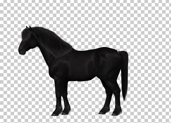 Red Dead Redemption Stallion Rein Canadian Horse Foal PNG, Clipart, Black, Black And White, Bridle, Colt, Dog Free PNG Download