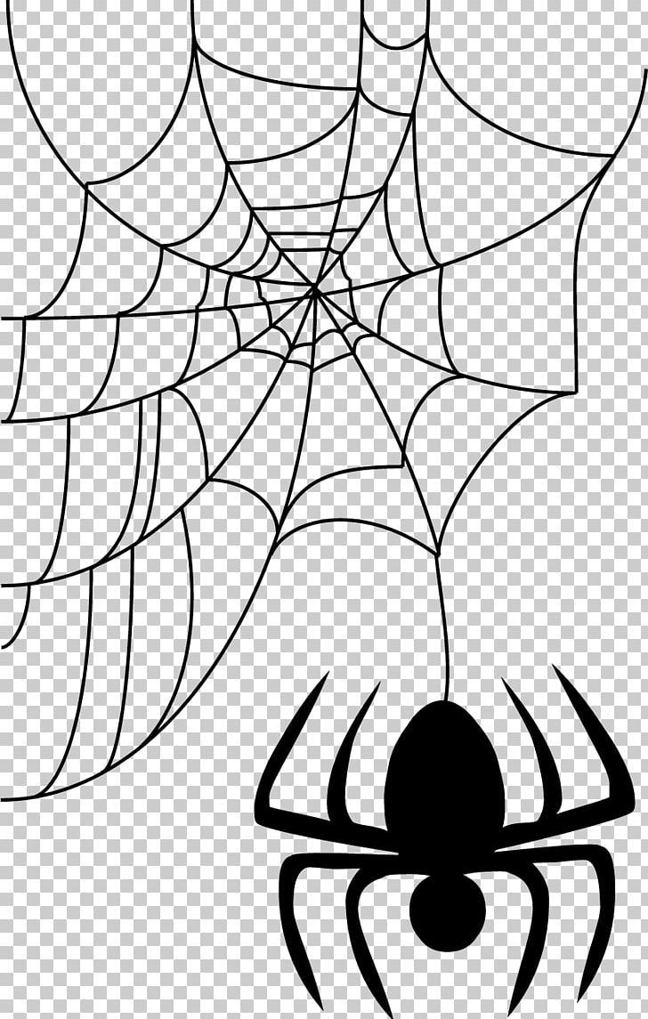 Spider Web Halloween PNG, Clipart, Bezpera, Black And White, Branch, Circle, Clip Art Free PNG Download