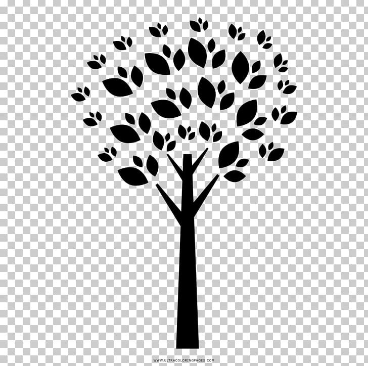 Twig Christmas Tree Coloring Book Drawing PNG, Clipart, Black And White, Branch, Building, Child, Christmas Tree Free PNG Download