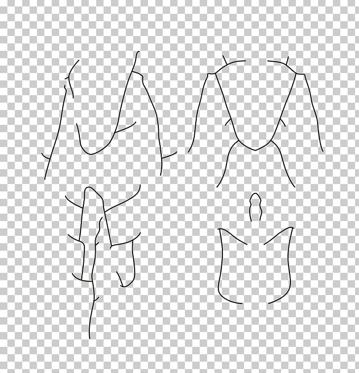 Drawing Line Art PNG, Clipart, Angle, Area, Arm, Art, Artwork Free PNG Download