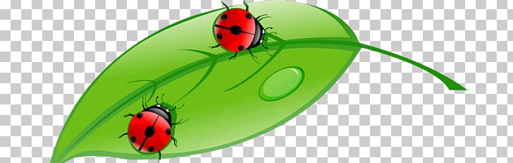 Drawing PNG, Clipart, Art, Beetle, Can Stock Photo, Drawing, Illustrator Free PNG Download