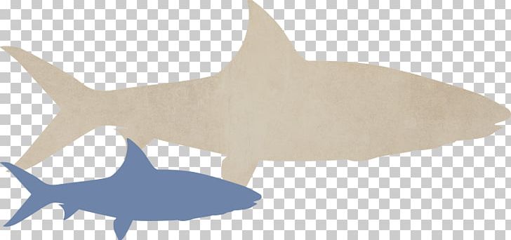 Requiem Sharks Marine Biology Marine Mammal Fish PNG, Clipart, Animal, Animal Figure, Bahamas, Biology, Bonefish Grill Free PNG Download