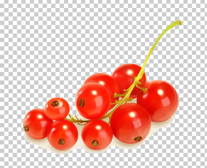 Seaberry Fruit Frutti Di Bosco Vegetable PNG, Clipart, Cherry, Cranberry, Currant, Encapsulated Postscript, Food Free PNG Download