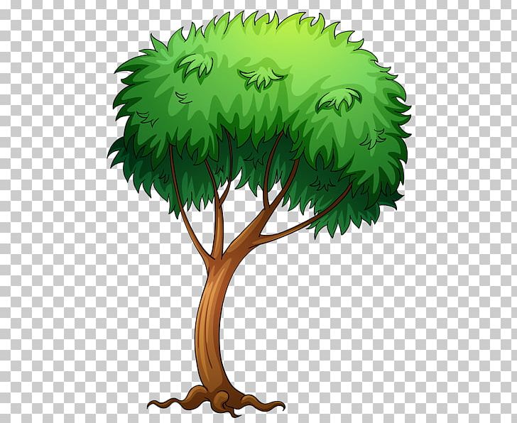 Tree PNG, Clipart, Agac, Branch, Document, Download, Flowerpot Free PNG Download