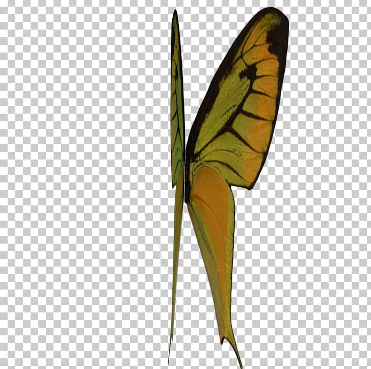 Monarch Butterfly Pieridae Brush-footed Butterflies Moth PNG, Clipart, Arthropod, Brush Footed Butterfly, Butterflies And Moths, Butterfly, Insect Free PNG Download