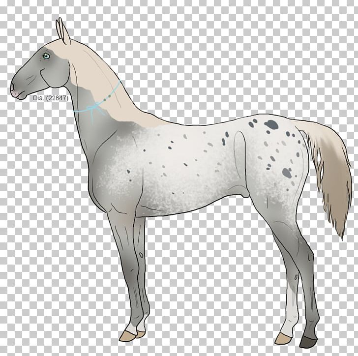 Mustang Mane Foal Stallion Colt PNG, Clipart,  Free PNG Download