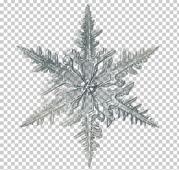 Snowflake Microscope Ice Crystal PNG, Clipart, Black And White, Christmas Ornament, Crystal, Desktop Wallpaper, Fir Free PNG Download