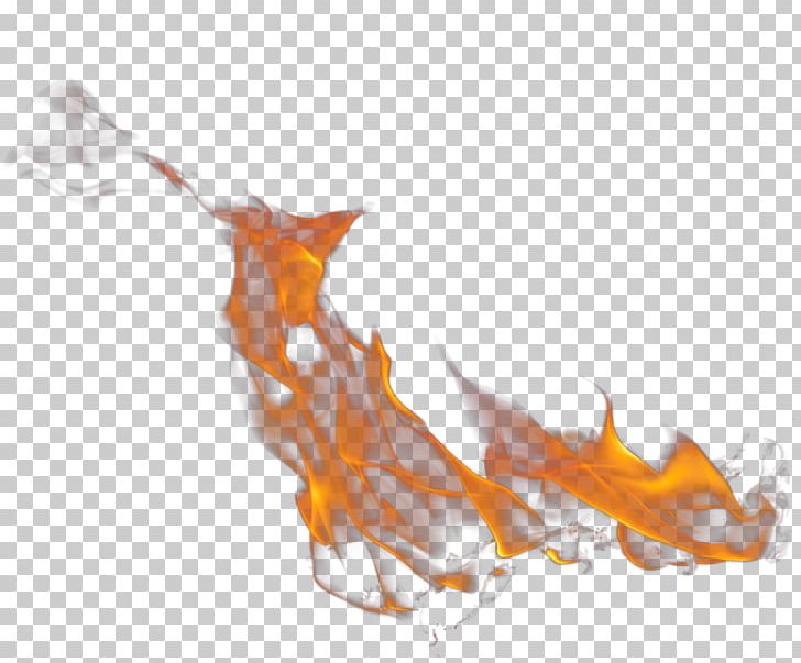 Fire Transparency And Translucency PhotoScape PNG, Clipart, Clip Art, Computer Icons, Desktop Wallpaper, Download, Fire Free PNG Download