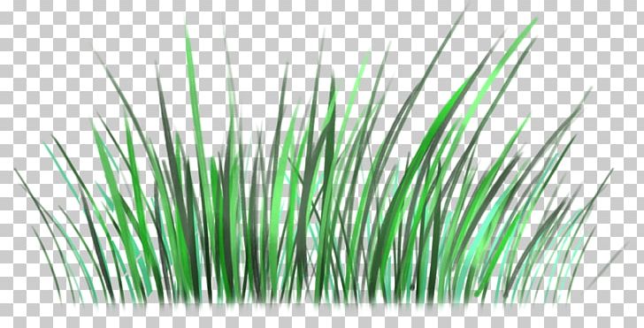 Green Grasses Line PNG, Clipart, Grass, Grasses, Grass Family, Green, Line Free PNG Download