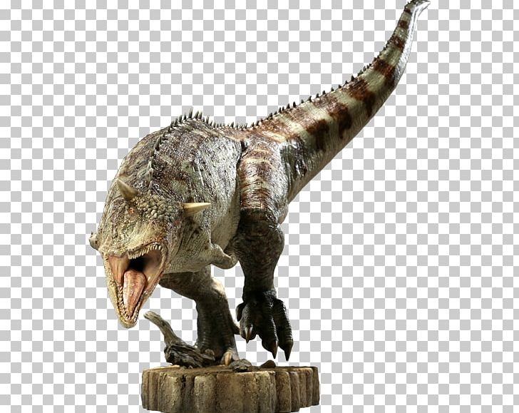 Tyrannosaurus Carnotaurus Allosaurus Acrocanthosaurus Dinosaur PNG, Clipart, Albertosaurus, Allosaurus, Amphicoelias, Amphicoelias Altus, Carnivore Free PNG Download