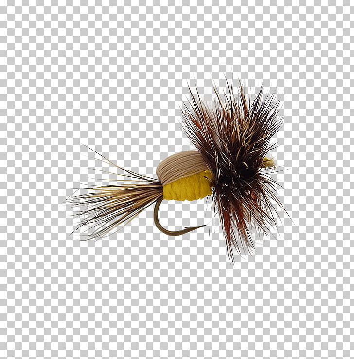 Artificial Fly Crane Fly Insect Wing PNG, Clipart, Artificial Fly, Bead, Clothing, Crane Fly, Fishing Bait Free PNG Download