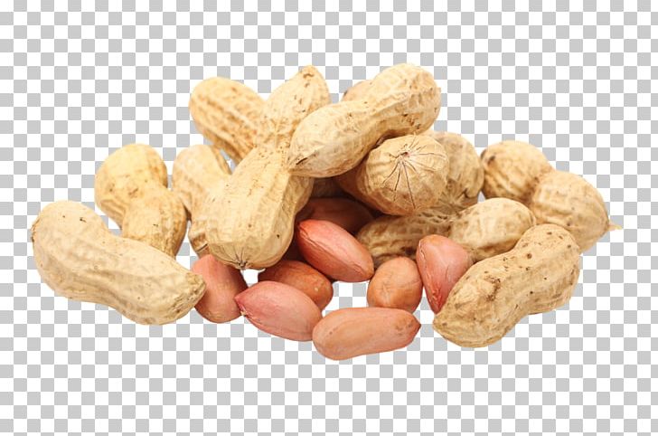 Peanut Seed Legume Pistachio PNG, Clipart, Arachis, Cashew, Commodity, Food, Fruit Free PNG Download
