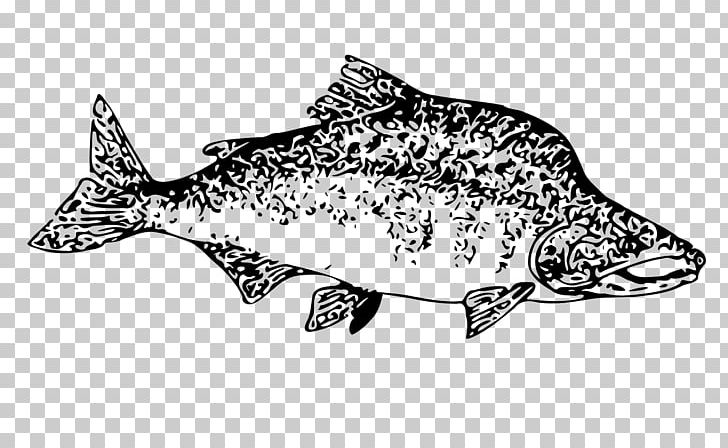 Salmon Fish PNG, Clipart, Animal Figure, Animals, Animation, Black And White, Computer Icons Free PNG Download