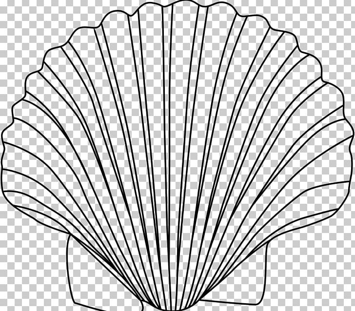Clam Drawing Seashell PNG, Clipart, Angle, Animals, Black And White, Clam, Coloring Book Free PNG Download