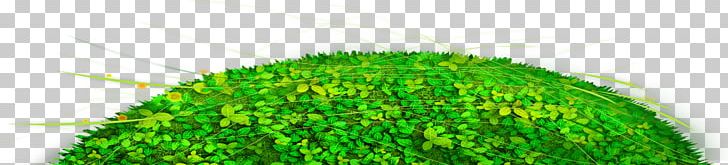 Close-up PNG, Clipart, Background Green, Close Up, Closeup, Earth, Environmental Free PNG Download