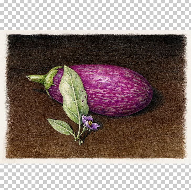Eggplant Stock Illustration - Download Image Now - Eggplant, Antique,  Illustration - iStock
