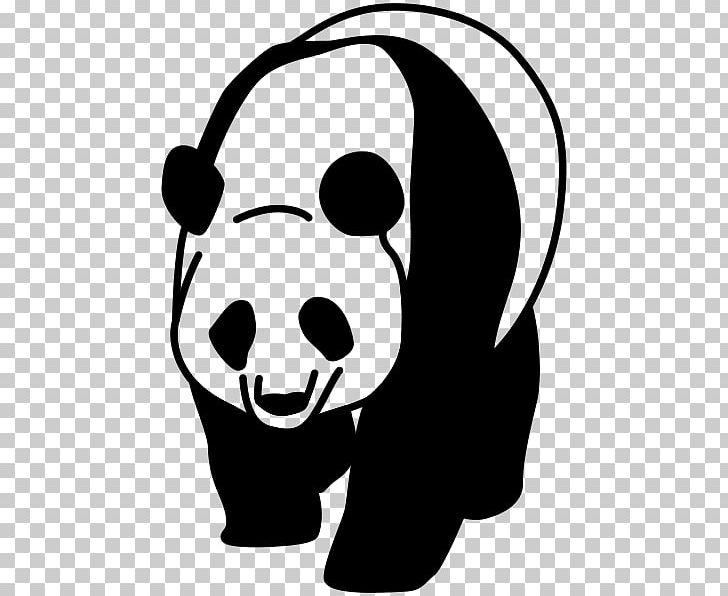 Giant Panda Desktop PNG, Clipart, Black, Carnivoran, Desktop Wallpaper, Dog Like Mammal, Face Free PNG Download