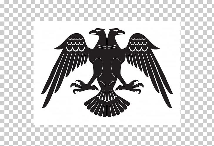 Great Seljuq Empire Seljuq Dynasty Double-headed Eagle PNG, Clipart, Beak, Bird, Bird Of Prey, Black And White, Circuit Diagram Free PNG Download