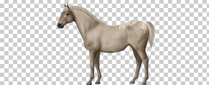 Mustang Morgan Horse American Quarter Horse Mane The Sims 3: Pets PNG, Clipart, American Quarter Horse, Animal Figure, Bridle, Colt, Foal Free PNG Download