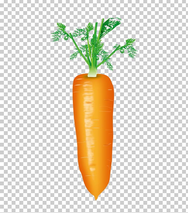 Strawberry Juice Baby Carrot Carrot Juice PNG, Clipart, Bunch Of Carrots, Carrot, Carrot Cartoon, Carrots, Cartoon Carrot Free PNG Download