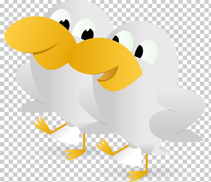 Duck Beak PNG, Clipart, Beak, Bird, Duck, Ducks Geese And Swans, Vertebrate Free PNG Download