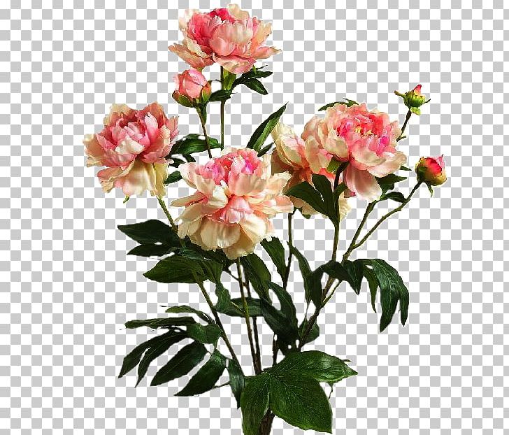 Garden Roses Naver Blog Cut Flowers PNG, Clipart, Annual Plant, Blog, Chic, Collagen, Cut Flowers Free PNG Download