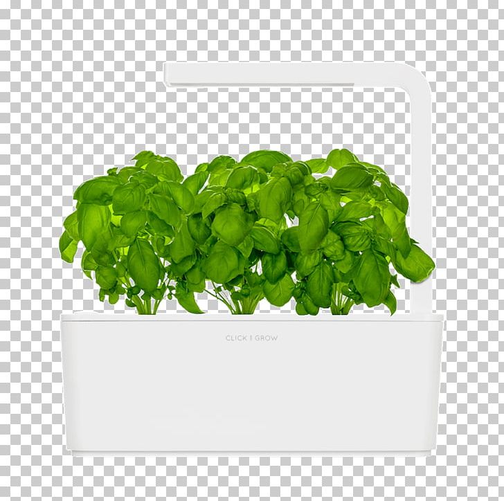 Gardening Click & Grow Herb Growing PNG, Clipart, Basil, Click Grow, Flowerpot, Garden, Gardening Free PNG Download