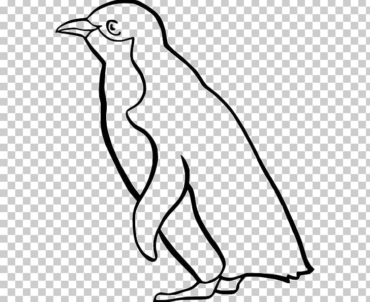 King Penguin Drawing Emperor Penguin PNG, Clipart, Area, Art, Beak, Bird, Black And White Free PNG Download