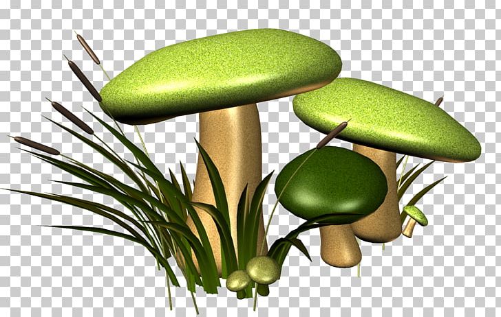 Mushroom Fungus Euclidean Gratis PNG, Clipart, Computer Wallpaper, Download, Euclidean Vector, Fungus, Grass Free PNG Download