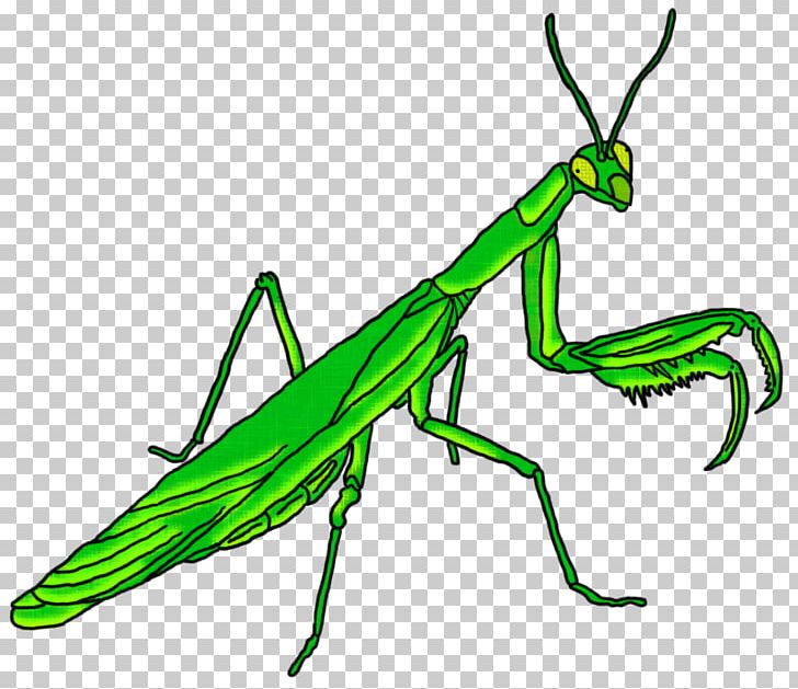 15 March Ghoul Insect PNG, Clipart, 15 March, Arthropod, Car, Deviantart, Fallout Free PNG Download