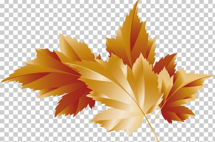 Autumn Leaf Color PNG, Clipart, Autumn, Autumn Leaf Color, Computer Wallpaper, Desktop Wallpaper, Diagram Free PNG Download