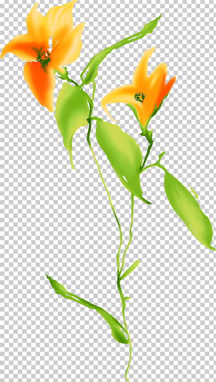 Flower Color Orange PNG, Clipart, Art, Branch, Bud, Color, Color Orange Free PNG Download
