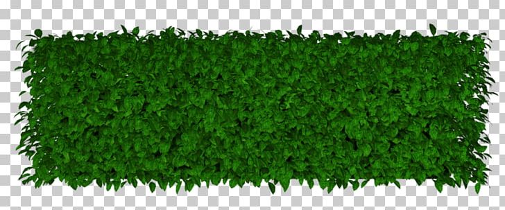 Lawn Artificial Turf Garden Hedge PNG, Clipart, Artificial Turf, Biome, Download, Evergreen, Fence Free PNG Download