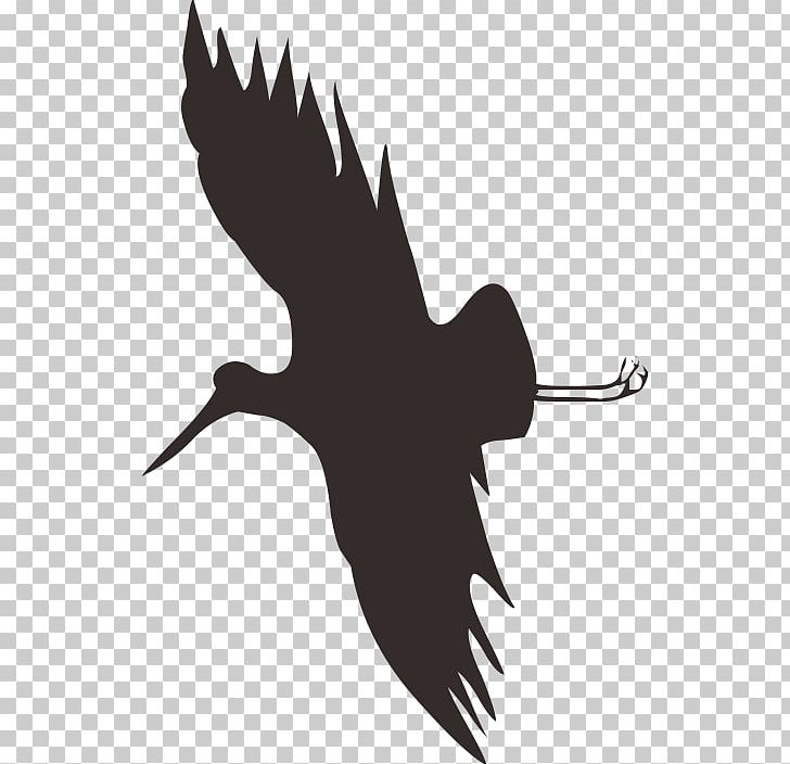 Bird Flight Crane Silhouette PNG, Clipart, Animal, Beak, Bird, Bird Flight, Birds Free PNG Download