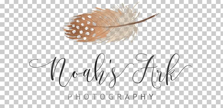 Blog Photography Referenzen Like Button Photographer PNG, Clipart, Ark, Baby Bump, Blog, Brand, Calligraphy Free PNG Download