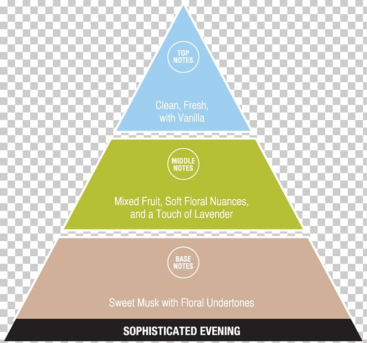 Ketogenic Diet Diagram Health PNG, Clipart, Brand, Business, Chart, Diagram, Fat Free PNG Download