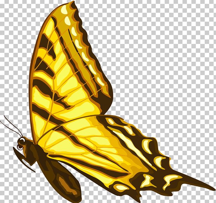 Monarch Butterfly Insect Nymphalidae Pollinator PNG, Clipart, 725, Arthropod, Brush Footed Butterfly, Butterflies And Moths, Butterfly Free PNG Download